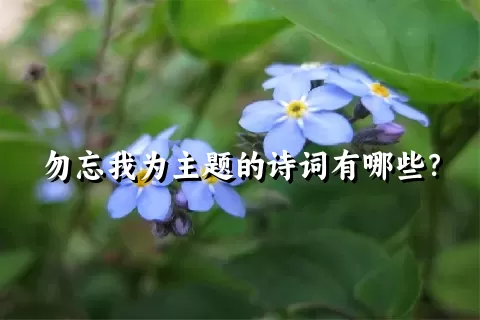 勿忘我为主题的诗词有哪些？