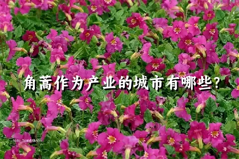 角蒿作为产业的城市有哪些？