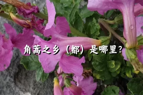 角蒿之乡（都）是哪里？