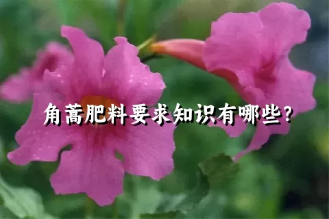角蒿肥料要求知识有哪些？