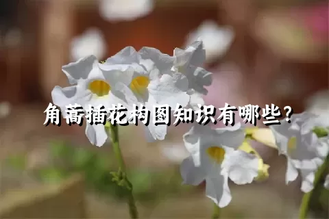 角蒿插花构图知识有哪些？