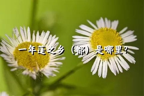 一年蓬之乡（都）是哪里？