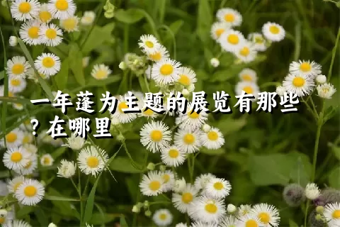 一年蓬为主题的展览有那些？在哪里
