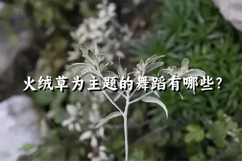 火绒草为主题的舞蹈有哪些？