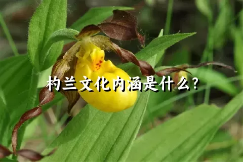 杓兰文化内涵是什么？