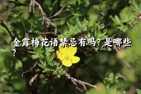 金露梅花语禁忌有吗？是哪些？
