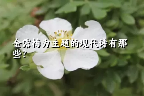 金露梅为主题的现代诗有那些？