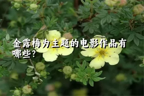 金露梅为主题的电影作品有哪些？