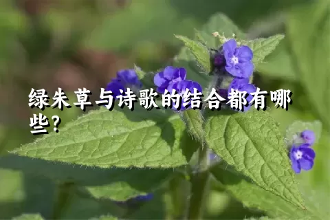 绿朱草与诗歌的结合都有哪些？