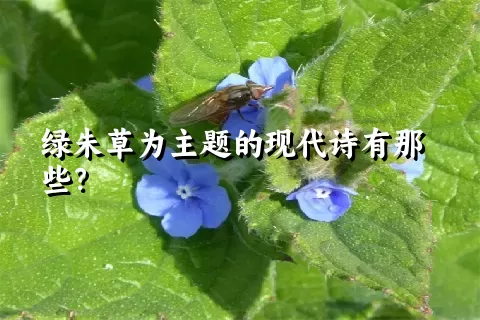 绿朱草为主题的现代诗有那些？