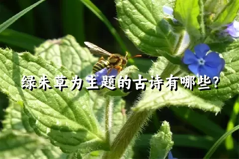 绿朱草为主题的古诗有哪些？