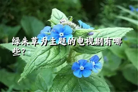 绿朱草为主题的电视剧有哪些？