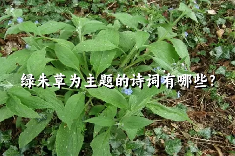 绿朱草为主题的诗词有哪些？