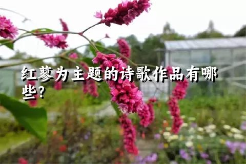 红蓼为主题的诗歌作品有哪些？