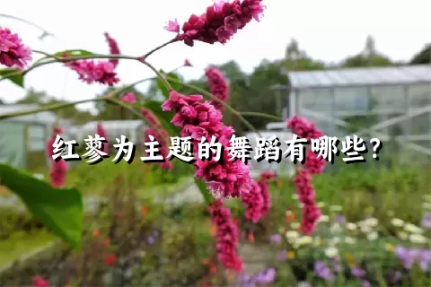 红蓼为主题的舞蹈有哪些？