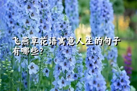 飞燕草花语寓意人生的句子有哪些？