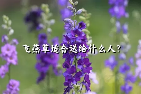 飞燕草适合送给什么人？