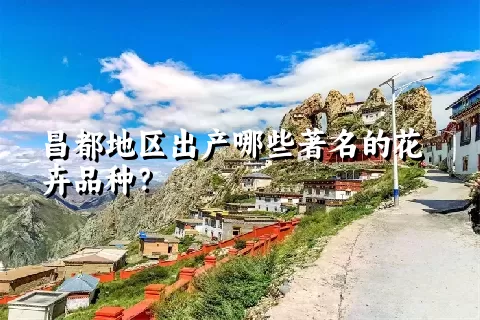 昌都地区出产哪些著名的花卉品种？