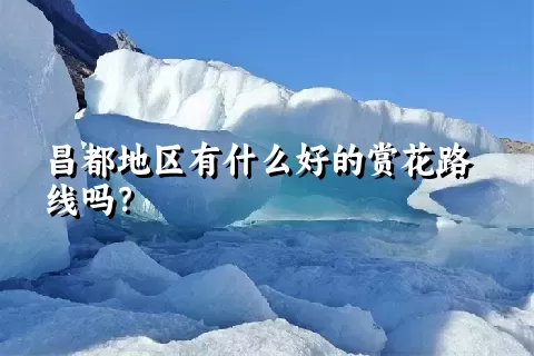 昌都地区有什么好的赏花路线吗？