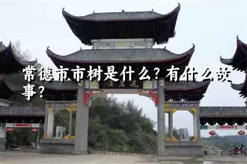 常德市市树是什么？有什么故事？