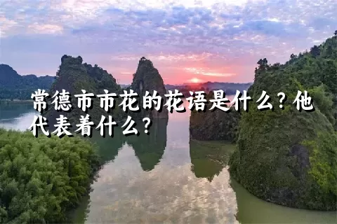 常德市市花的花语是什么？他代表着什么？