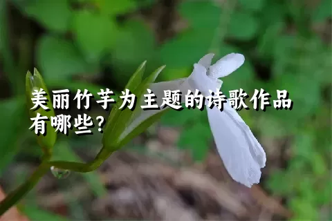 美丽竹芋为主题的诗歌作品有哪些？