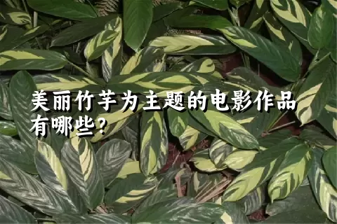 美丽竹芋为主题的电影作品有哪些？