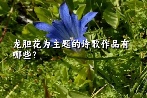 龙胆花为主题的诗歌作品有哪些？