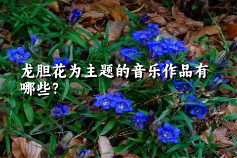 龙胆花为主题的音乐作品有哪些？