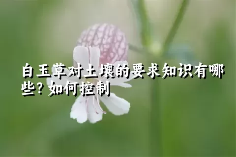 白玉草对土壤的要求知识有哪些？如何控制