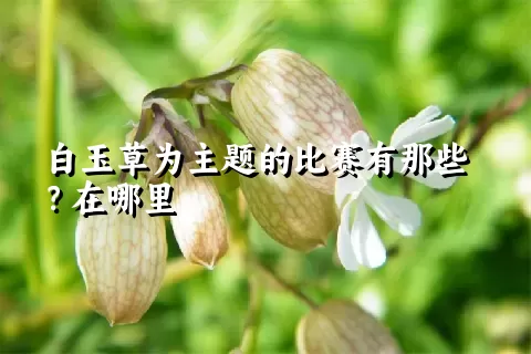 白玉草为主题的比赛有那些？在哪里
