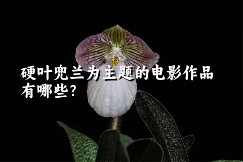 硬叶兜兰为主题的电影作品有哪些？