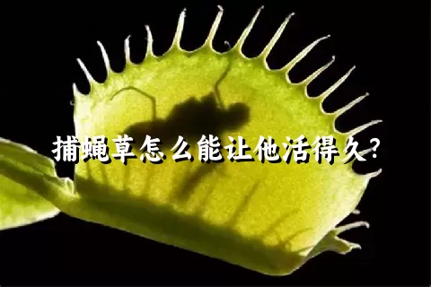 捕蝇草怎么能让他活得久？