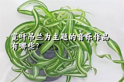 宽叶吊兰为主题的音乐作品有哪些？