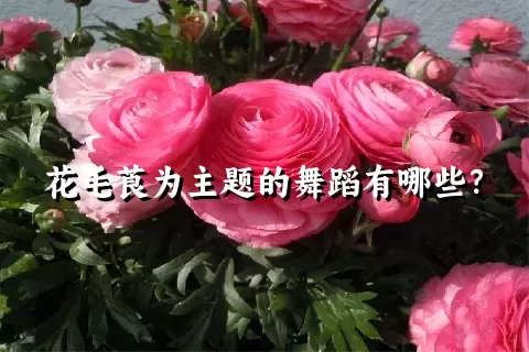 花毛莨为主题的舞蹈有哪些？