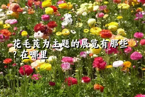 花毛莨为主题的展览有那些？在哪里