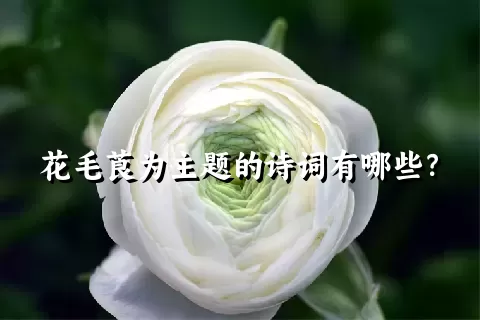 花毛莨为主题的诗词有哪些？