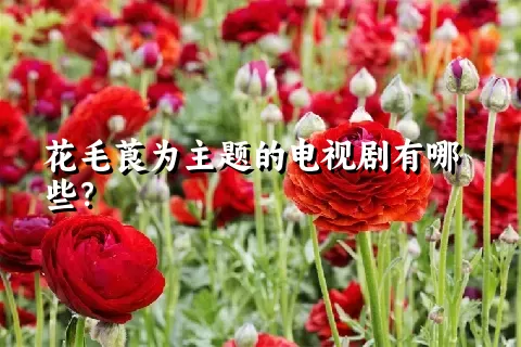 花毛莨为主题的电视剧有哪些？