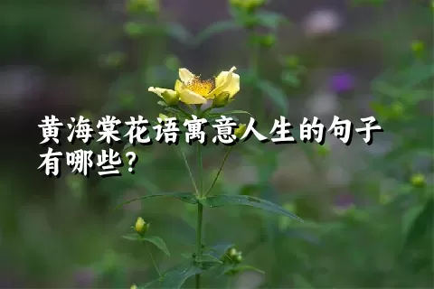 黄海棠花语寓意人生的句子有哪些？