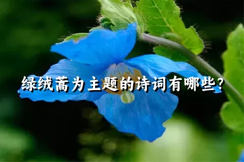 绿绒蒿为主题的诗词有哪些？