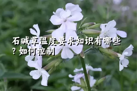 石碱草温度要求知识有哪些？如何控制