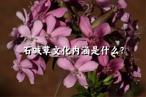 石碱草文化内涵是什么？
