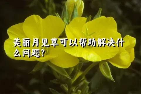 美丽月见草可以帮助解决什么问题？