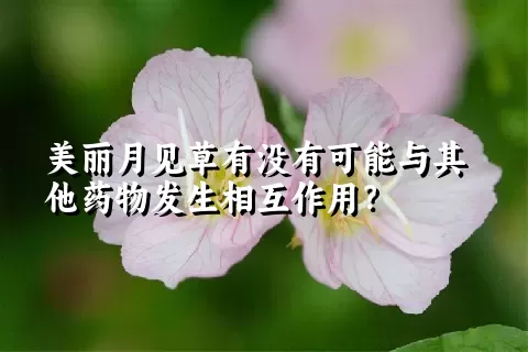 美丽月见草有没有可能与其他药物发生相互作用？