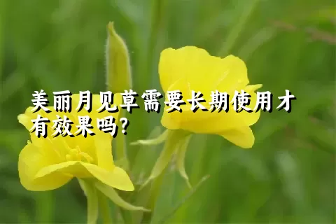 美丽月见草需要长期使用才有效果吗？