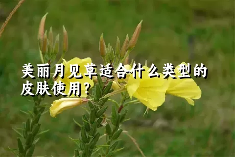美丽月见草适合什么类型的皮肤使用？