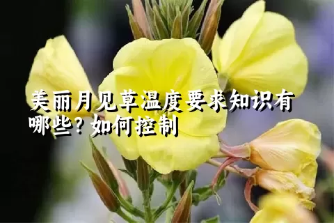 美丽月见草温度要求知识有哪些？如何控制