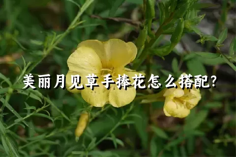 美丽月见草手捧花怎么搭配？