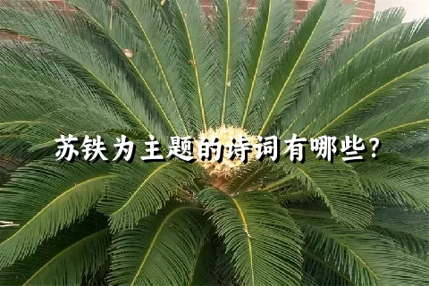 苏铁为主题的诗词有哪些？
