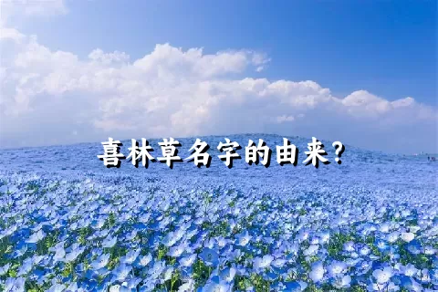 喜林草名字的由来？